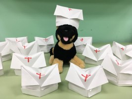 Изображение для новости