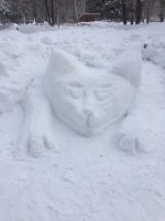 Изображение для новости